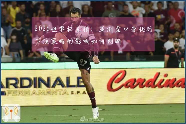 2026世界杯竞猜：亚洲盘口变化对下注策略的影响如何判断
