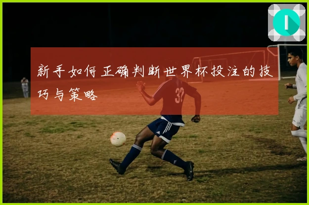 新手如何正确判断世界杯投注的技巧与策略