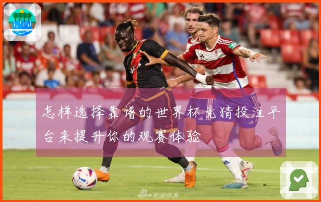 怎样选择靠谱的世界杯竞猜投注平台来提升你的观赛体验