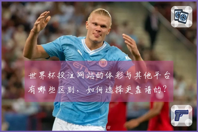 世界杯投注网站的体彩与其他平台有哪些区别，如何选择更靠谱的？