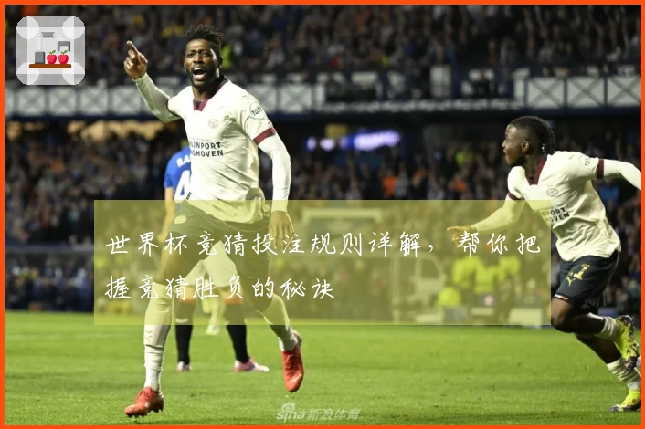 世界杯竞猜投注规则详解，帮你把握竞猜胜负的秘诀