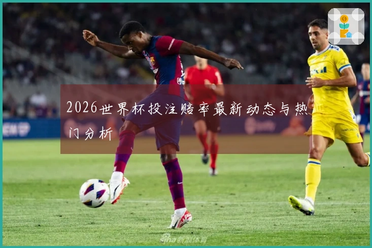 2026世界杯投注赔率最新动态与热门分析