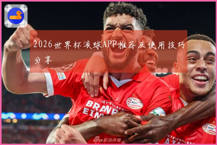 2026世界杯滚球APP推荐及使用技巧分享