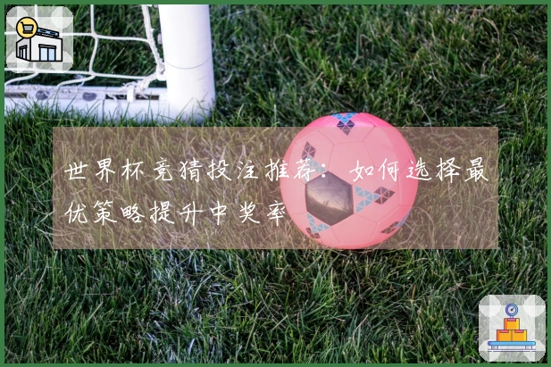 世界杯竞猜投注推荐：如何选择最优策略提升中奖率