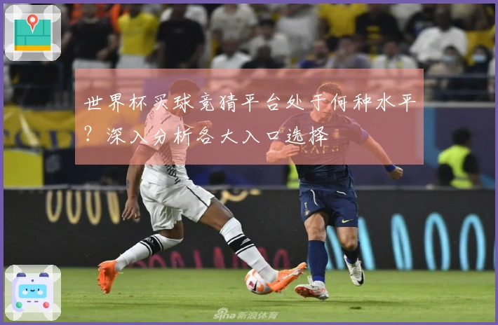 世界杯买球竞猜平台处于何种水平？深入分析各大入口选择