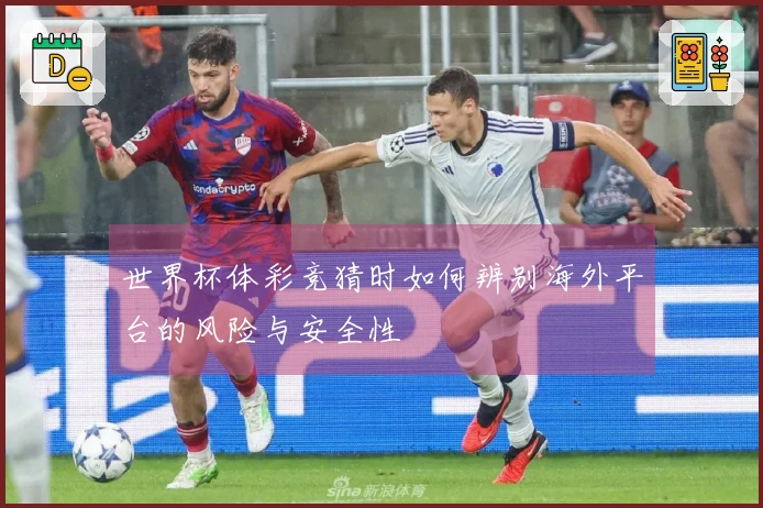 世界杯体彩竞猜时如何辨别海外平台的风险与安全性