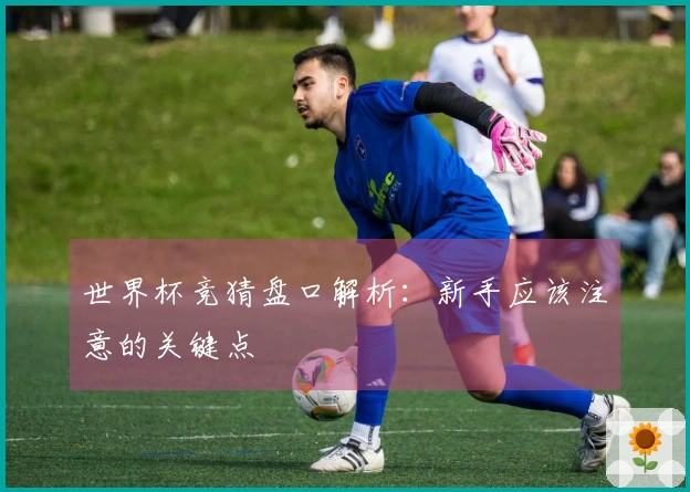 世界杯竞猜盘口解析：新手应该注意的关键点
