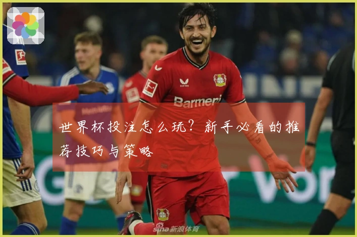 世界杯投注怎么玩？新手必看的推荐技巧与策略