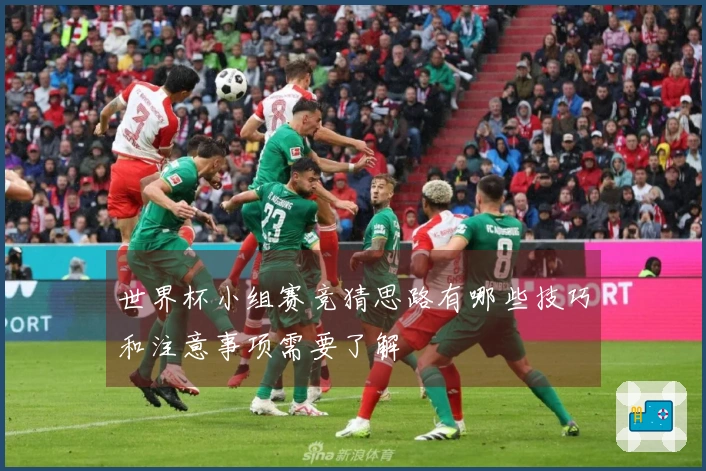 世界杯小组赛竞猜思路有哪些技巧和注意事项需要了解