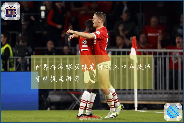 世界杯滚球买球有什么入口和技巧可以提高胜率