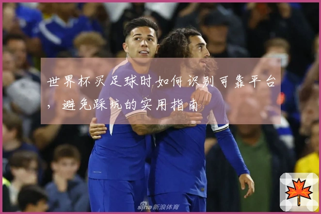 世界杯买足球时如何识别可靠平台，避免踩坑的实用指南