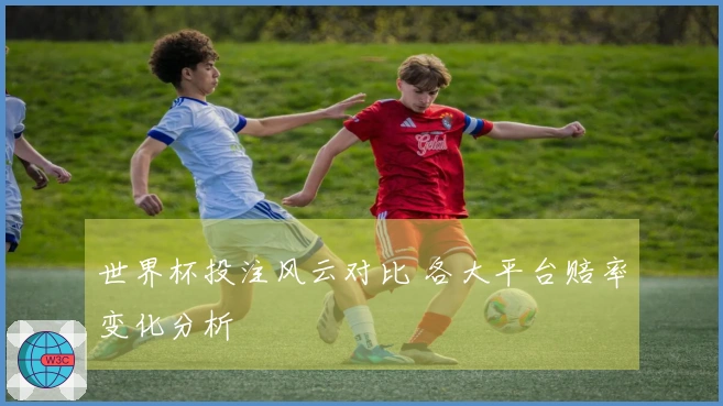 世界杯投注风云对比 各大平台赔率变化分析