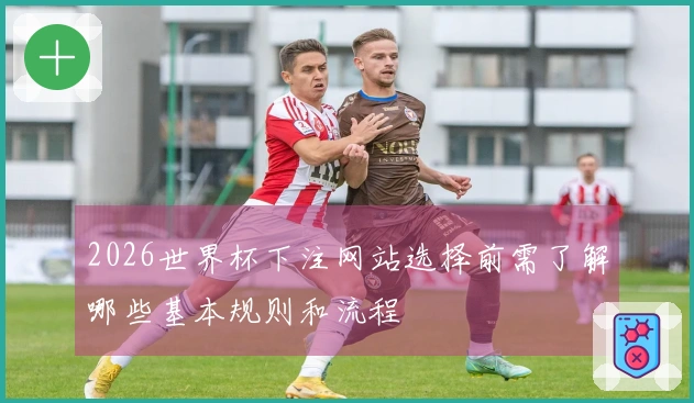 2026世界杯下注网站选择前需了解哪些基本规则和流程