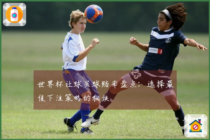世界杯让球买球赔率盘点：选择最佳下注策略的秘诀