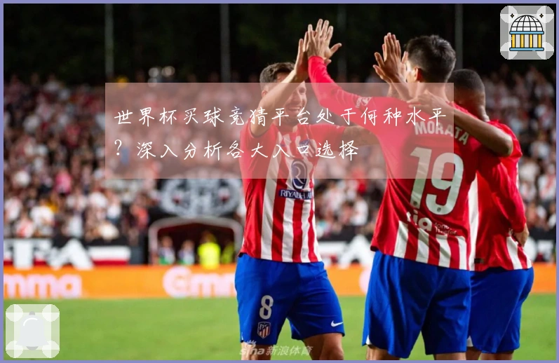 世界杯买球竞猜平台处于何种水平？深入分析各大入口选择