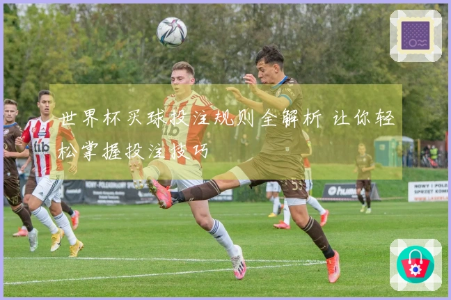 世界杯买球投注规则全解析 让你轻松掌握投注技巧
