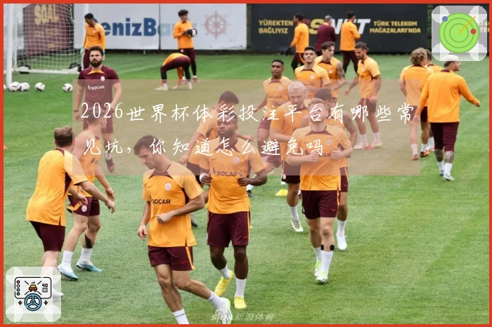 2026世界杯体彩投注平台有哪些常见坑，你知道怎么避免吗