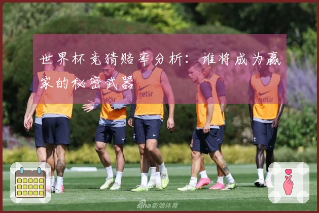 世界杯竞猜赔率分析：谁将成为赢家的秘密武器