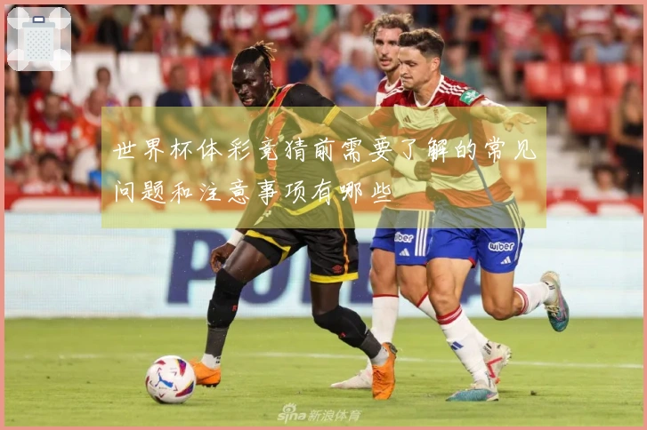 世界杯体彩竞猜前需要了解的常见问题和注意事项有哪些