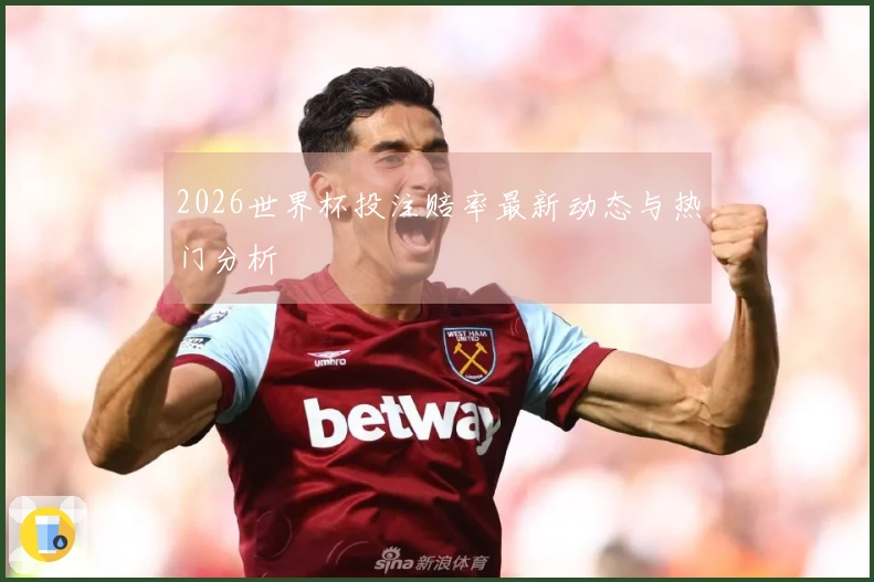 2026世界杯投注赔率最新动态与热门分析