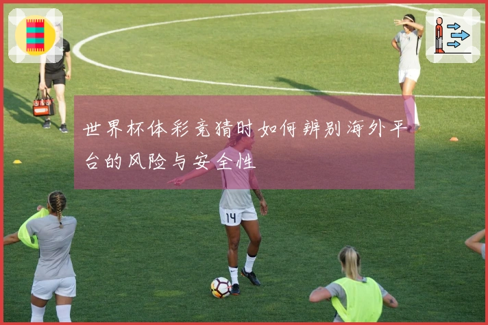 世界杯体彩竞猜时如何辨别海外平台的风险与安全性
