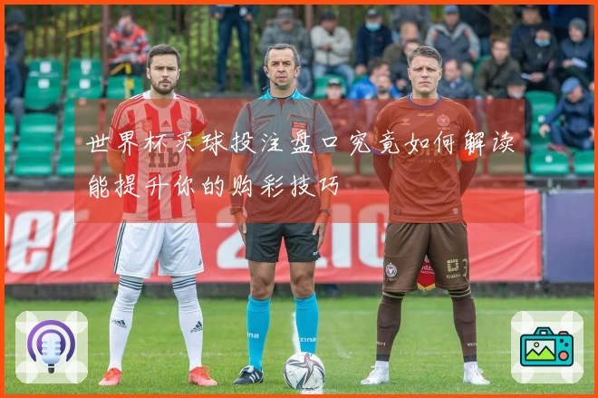 世界杯买球投注盘口究竟如何解读能提升你的购彩技巧