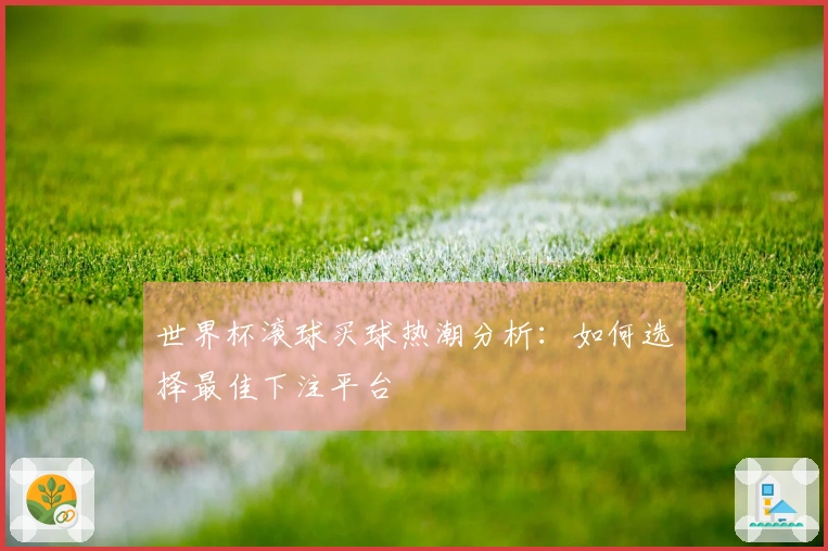 世界杯滚球买球热潮分析：如何选择最佳下注平台