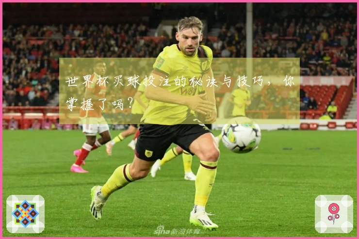 世界杯买球投注的秘诀与技巧，你掌握了吗？