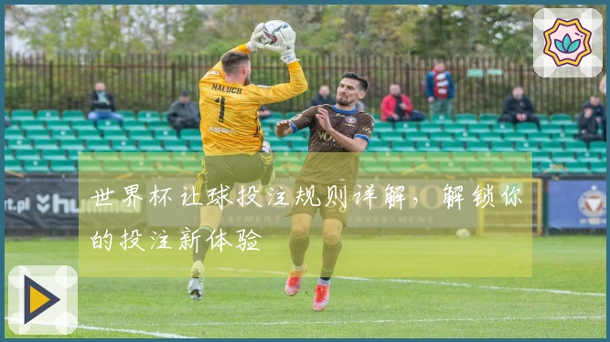 世界杯让球投注规则详解，解锁你的投注新体验