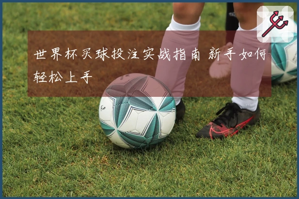 世界杯买球投注实战指南 新手如何轻松上手
